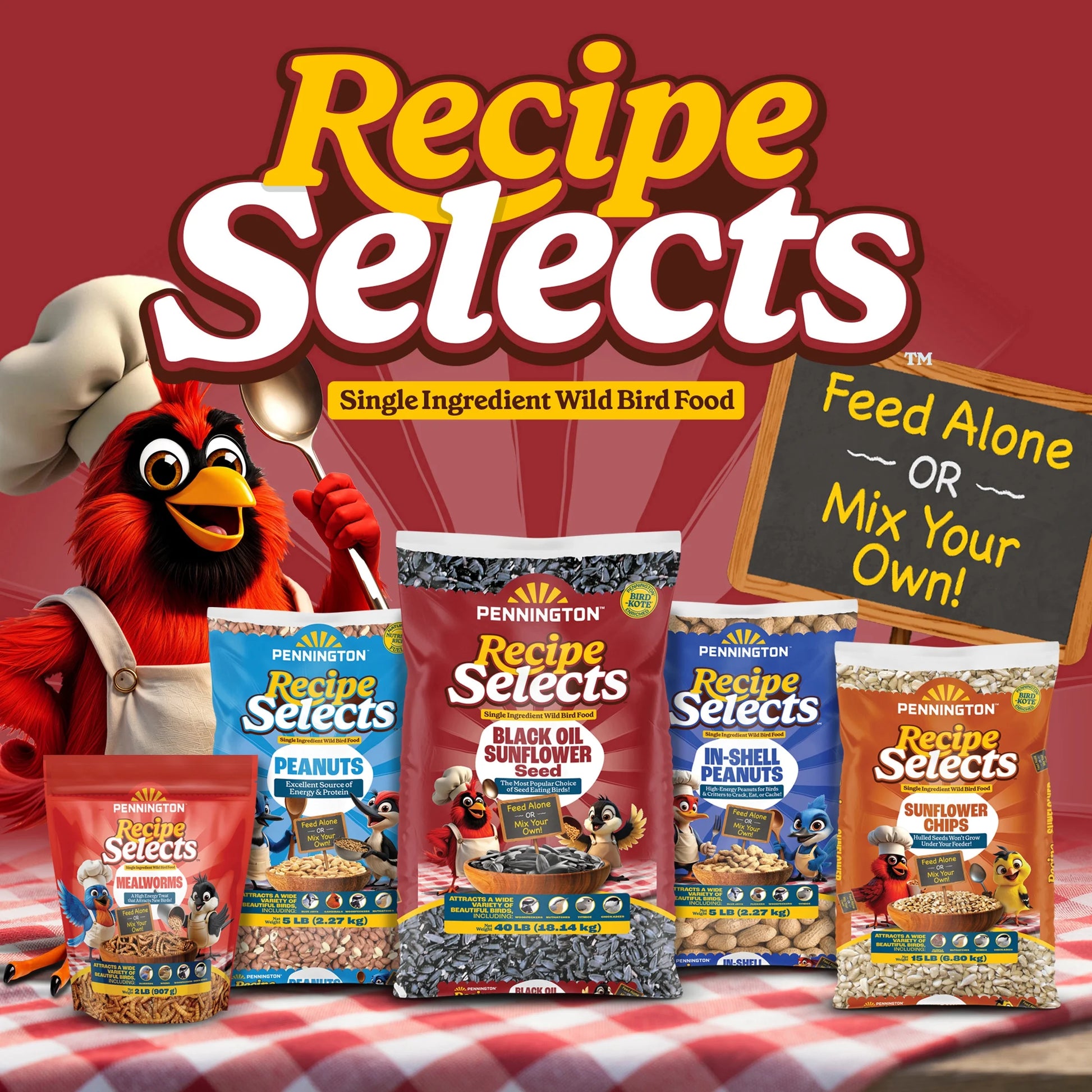 Recipe Selects Dried Mealworms for Birds, Bluebird and Wild Bird Food for outside Feeder, 2 Lb. Bag, 1 Pack