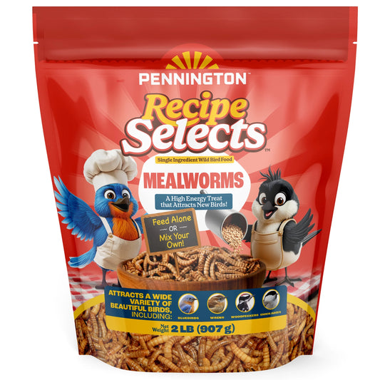 Recipe Selects Dried Mealworms for Birds, Bluebird and Wild Bird Food for outside Feeder, 2 Lb. Bag, 1 Pack