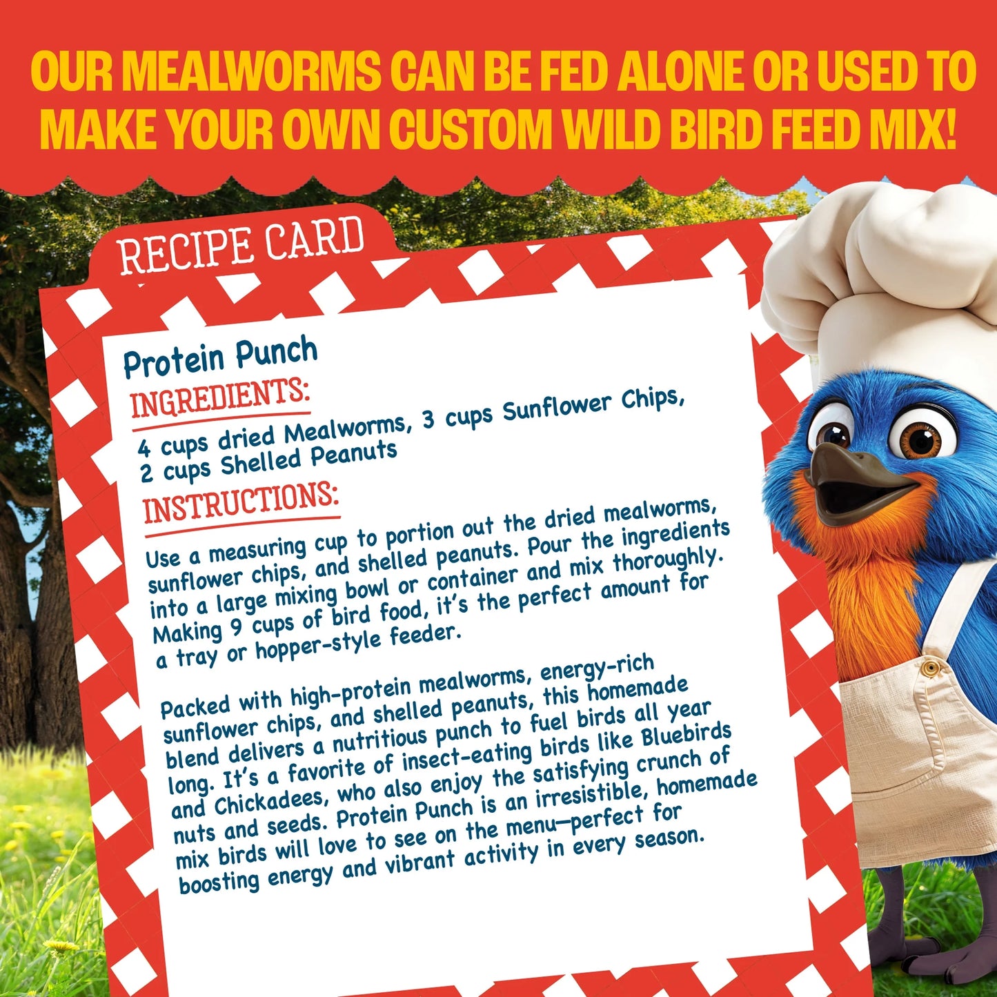 Recipe Selects Dried Mealworms for Birds, Bluebird and Wild Bird Food for outside Feeder, 2 Lb. Bag, 1 Pack