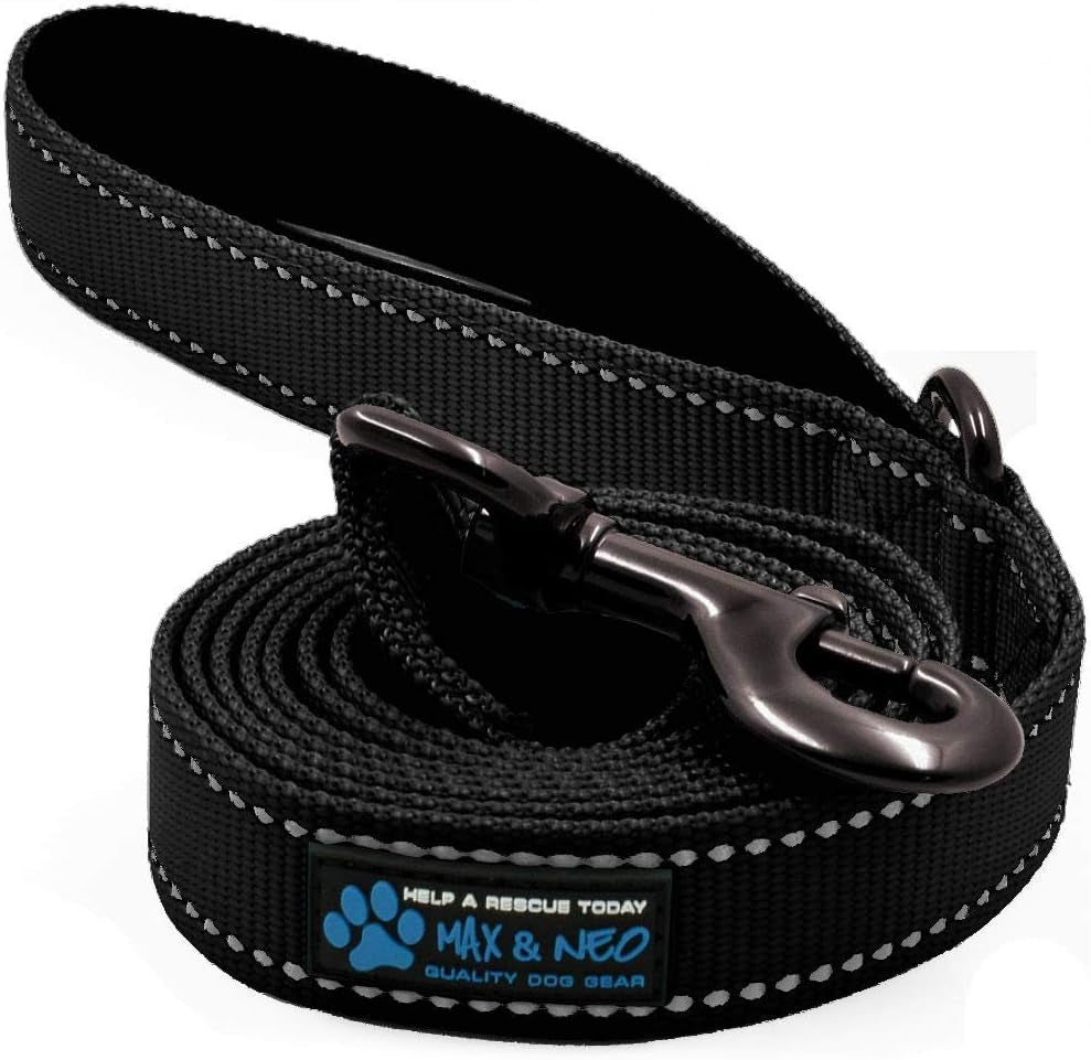 Small Dog Reflective Nylon Leash - Donate a Leash to Dog Rescue for Each Sold (Black, 4X5/8)