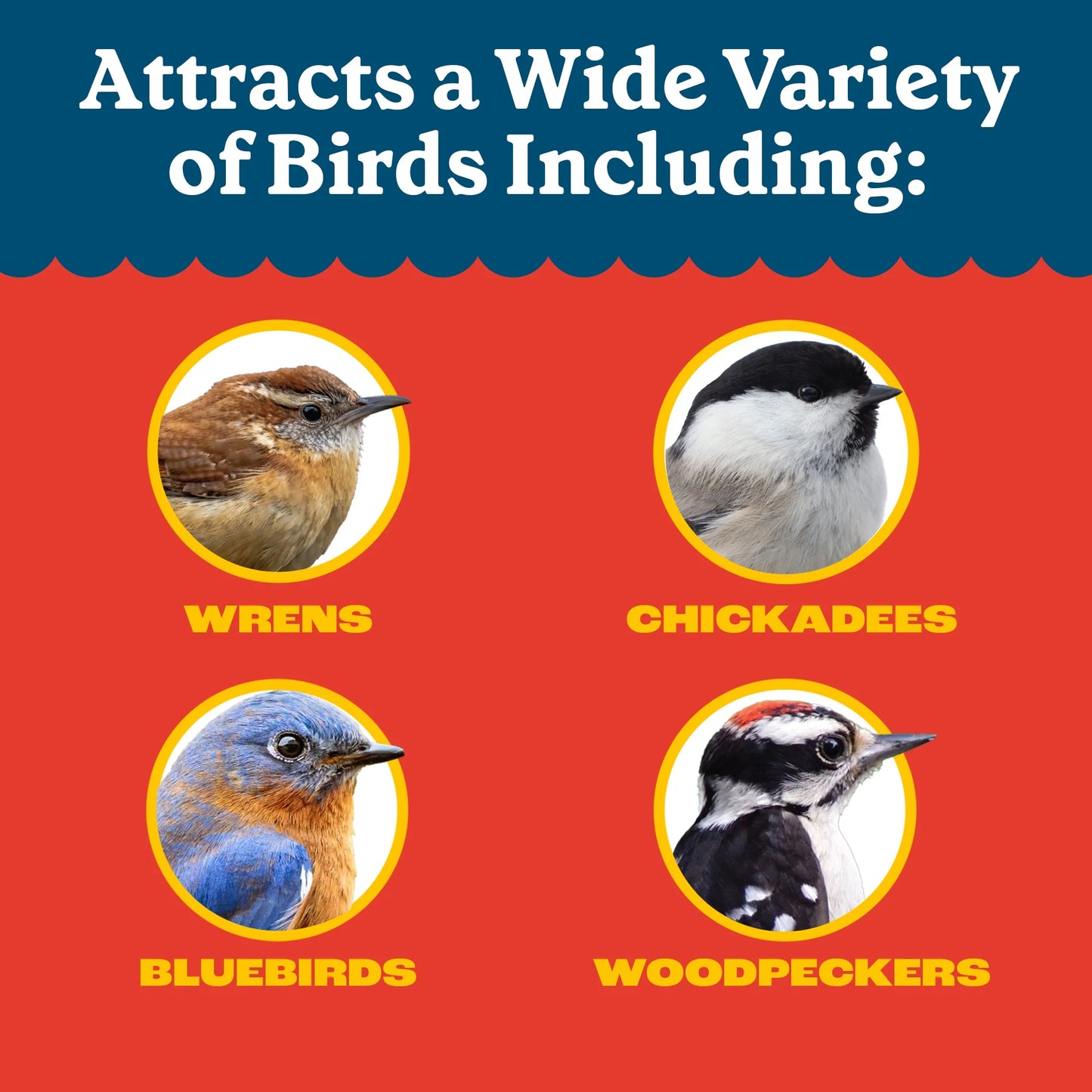 Recipe Selects Dried Mealworms for Birds, Bluebird and Wild Bird Food for outside Feeder, 2 Lb. Bag, 1 Pack